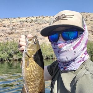 Meet your Posher, Weston